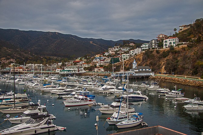 Catalina 2015