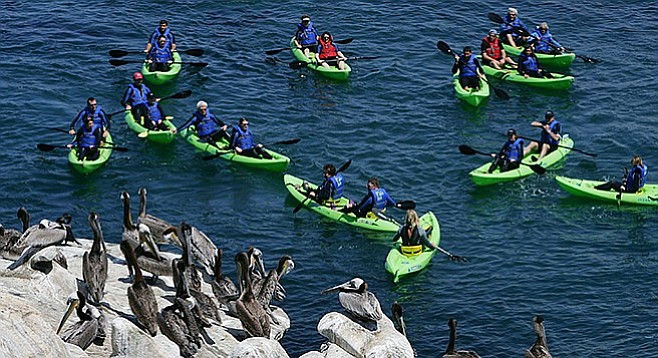 Kayakers at La Jolla Cove