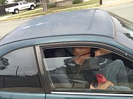 photo thumbnail