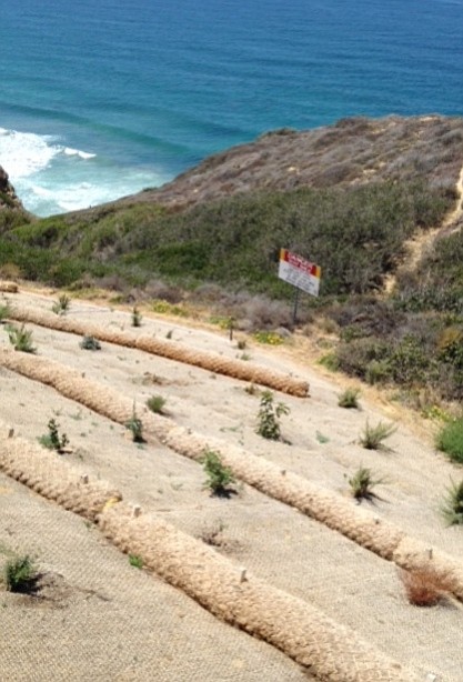 Geotextile on the landscaping