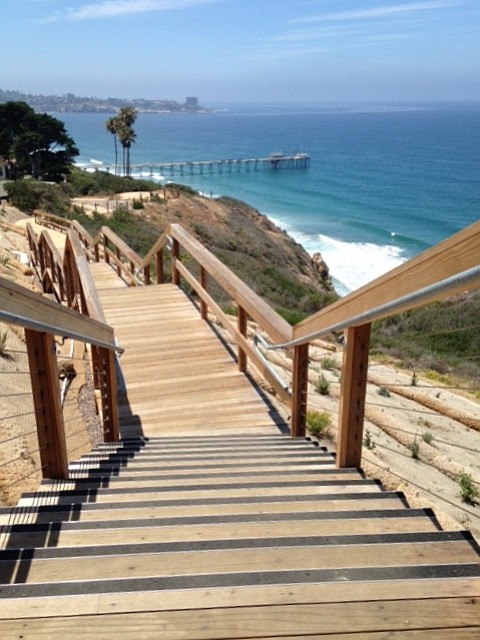 This is the view from the top of the stairway to heaven. These new stairs were installed on the Biological Entrance of the Scripps Institution of Oceanography, of the UCSD, in La Jolla. The stairs are the start of the Coastal Meander Trail. UCSD did a great job landscaping; they stabilized the hill using nets of natural fibers, jute geotextile, interspersed with drought-tolerant plants.
