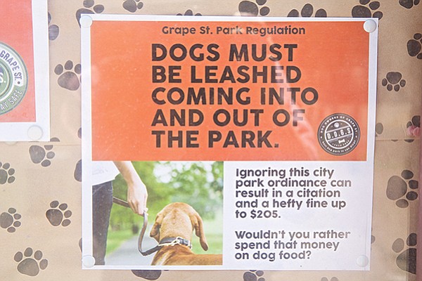 Dog park rules