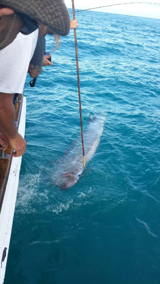 First-ever oarfish caught on rod and reel San Diego Reader