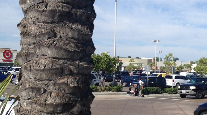 Woman begging with child in Target parking lot entrance in Clairemont on July 3. She holds sign back up after she sees me drive away.