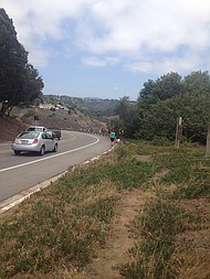 photo thumbnail