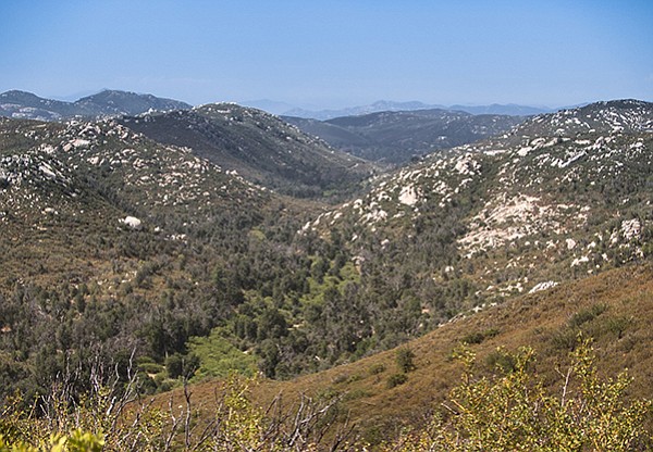 Oak woodland and riparian growth along the Sweetwater River, Pine Ridge Trail