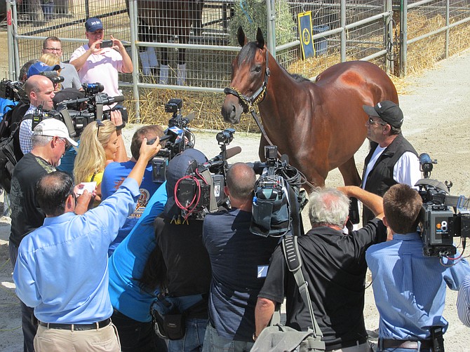 They say American Pharaoh knows he's special.