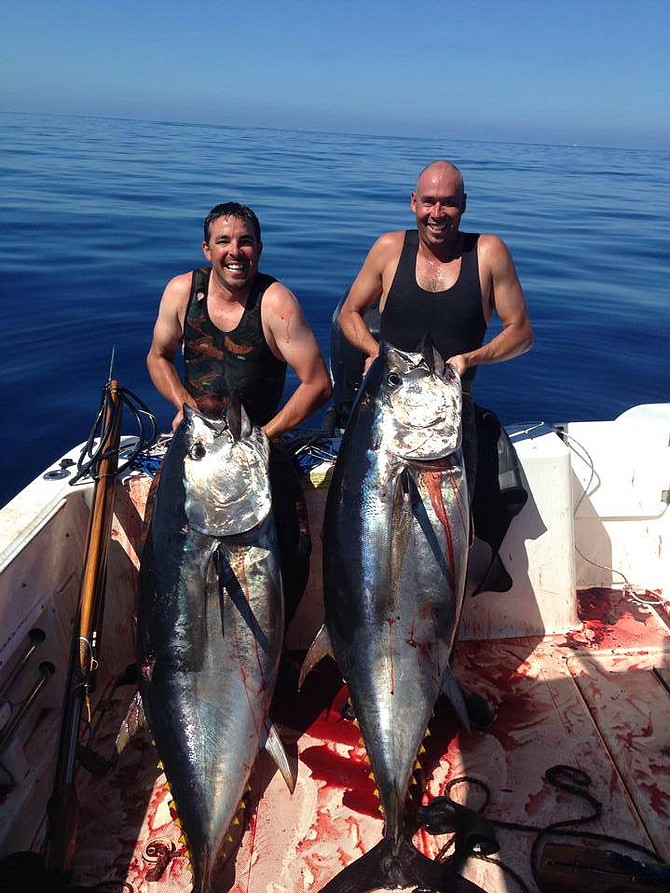 Capt Brian Castleton of the New Seaforth and Eric Weidele with two pending record bluefin tuna. 
