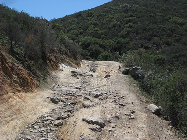 Lawson Peak trail