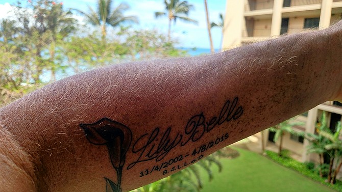 Got this tattoo in Maui in rememberance of the best dog ever.
Bella Staffs Lil Lily of Dozer, she was a one in a million.

Performed by Matt at Mid Pacific Tattoo. LaHeina Maui, Hawaii.
Jason, Equipment Operator, 37 from Oside.