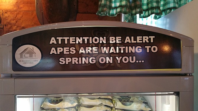 A dire warning.
