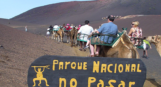 Camels are go-to transportation in Lanzarote's Timanfaya National Park.