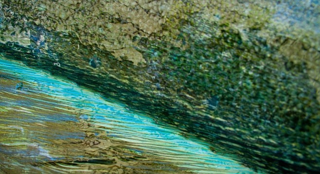 Close-up of pelagic fish skin