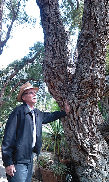 Julian Duval leaning on a cork tree