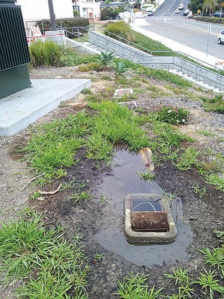 The water-main valve box at Dana Middle School in Point Loma stood filled with water and the ground around it was a soggy mess.