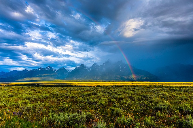 A summer morning in Jackson Hole Valley