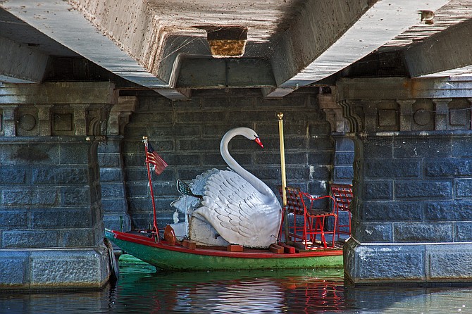 Boston Swan Boat