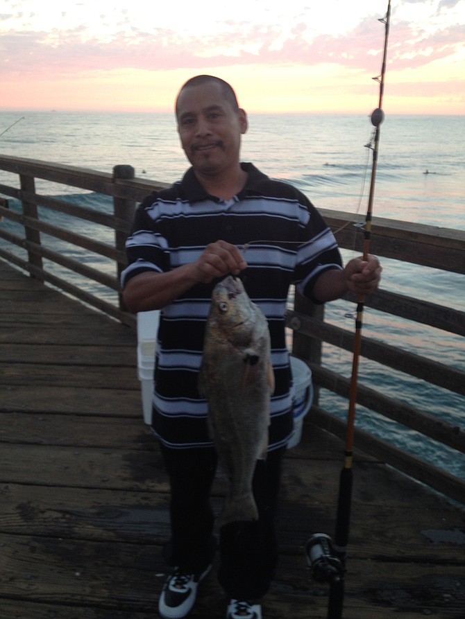 George Hernandez of Oceanside lands a nice crocker off the O'side pier.