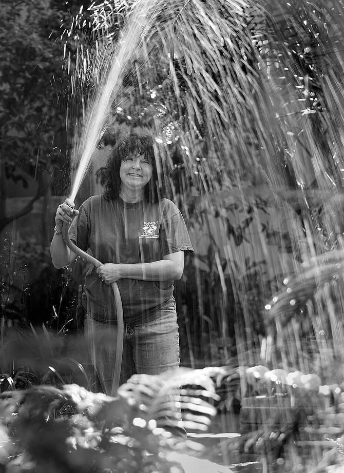 Paula Root likes to tuck orchids throughout the Botanical Building.