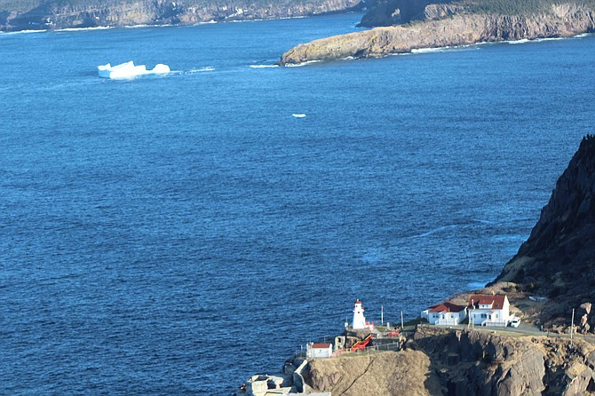 Iceberg at Newfoundland's Signal Hill
