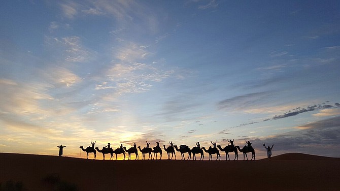 Sunrise camel ride in the Sahara. 