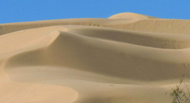 The larger dunes are on the west side of the North Algodones Dunes Wilderness (2.5 hours from San Diego).