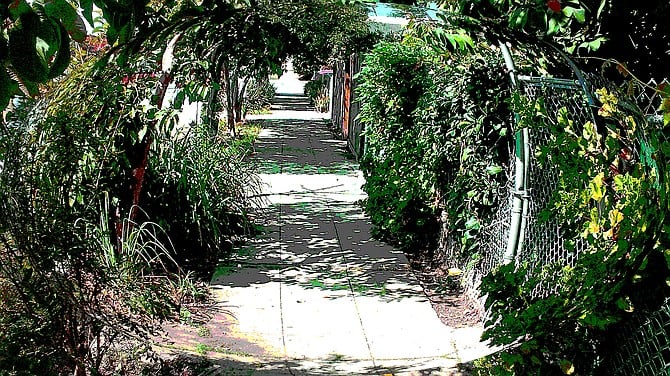 A sidewalk in North Park, with a little tweaking in Photoshop.