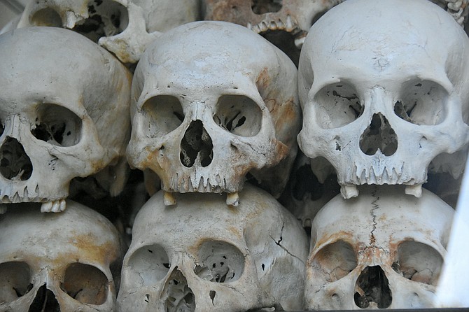 Close-up of skulls