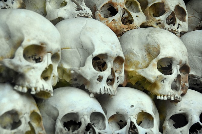 Close-up of glass-encased skulls