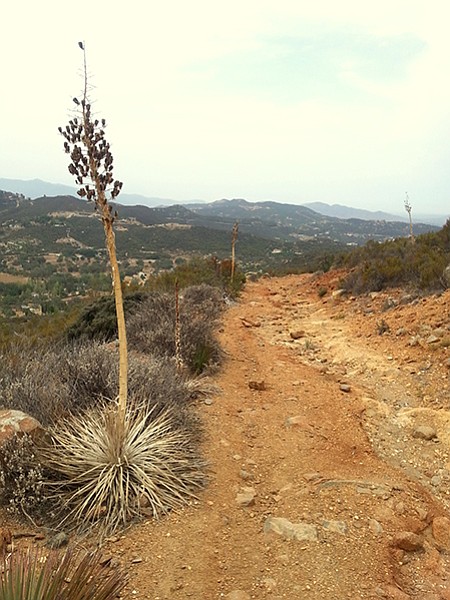 Wear sturdy hiking shoes on the steep, rocky trail