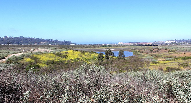 The Del Mar racetrack is visible through a field of coastal sage and across a seasonal pond.