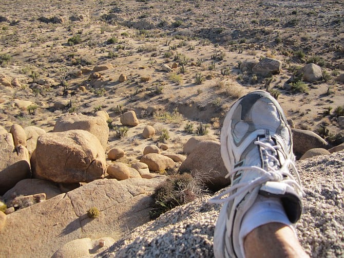 Overlooking the trail