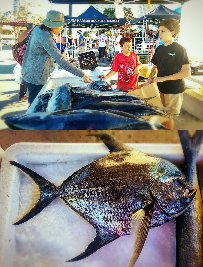 Top Image: In the early morning of November 21, 2015, this keenly enthusiastic Asian customer visited Tuna Harbor Dockside Market and decided without reservation to snag this 15-pound fish off the table at a mere $2.50 per pound
Bottom Image: This monchong (aka pomfret), which was line-caught off San Diego's deep waters by the 70-foot tuna vessel, Pacific Horizon, is definitely an oddity at Tuna Harbor Dockside Market.
