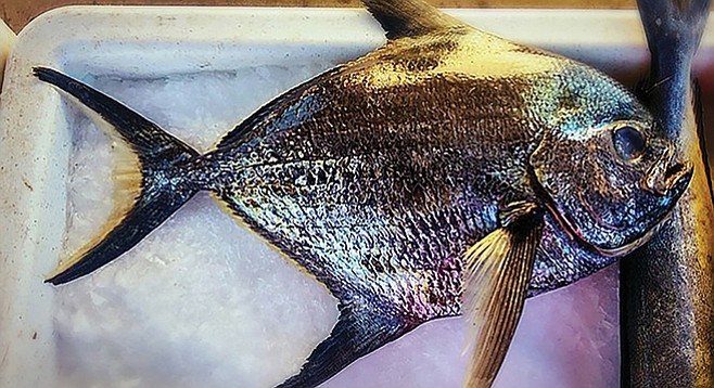 A monchong (aka pomfret), line-caught off San Diego’s deep waters.