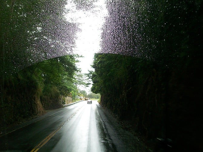 From the Robert's Tour Bus in Hilo, Big Island of Hawaii.