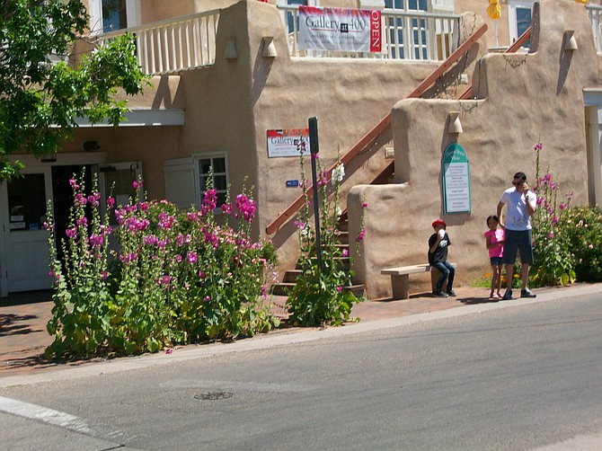 Hollyhock flowers adorn a Santa Fe, New Mexico street.