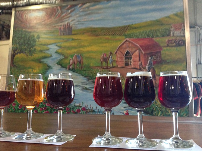 Duck Duck Gooze, second from the left, in the Vintage Flight at Lost Abbey.
