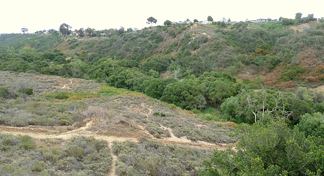 Area of the trail with views of the canyon