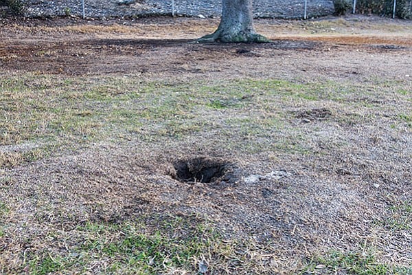 Gopher hole issues at Robb Field - Image by Andy Boyd