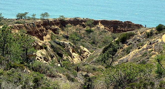 View of the ocean from the overlook