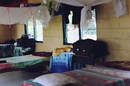 photo thumbnail