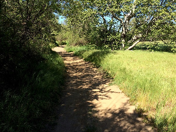 The trail goes through riparian woodlands near the creek