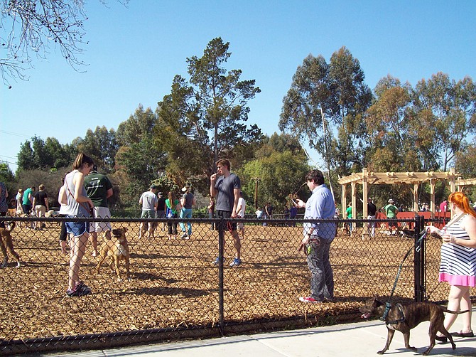 Satisfied customers at the new dog park in Normal Heights