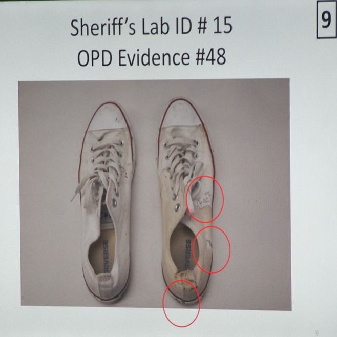 DNA expert found victim's blood on shoes