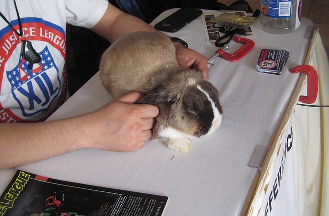 rabbit at Xtreme Justice League table