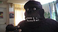 photo thumbnail