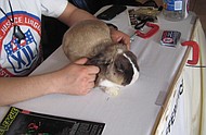photo thumbnail
