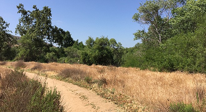 The Sweetwater trail loops around the refuge.