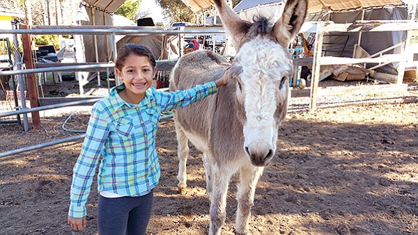 Jack the donkey with Ashley the visitor
