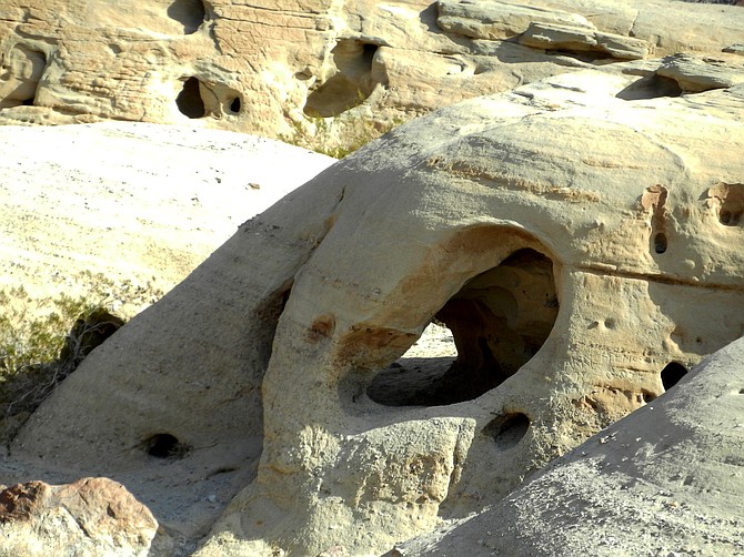 Wind-carved sandstone formations